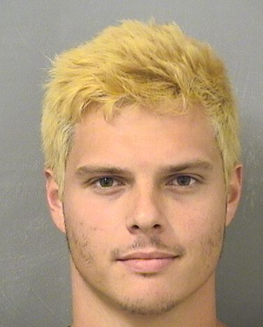  NICHOLAS ANTHONY CASADEI Results from Palm Beach County Florida for  NICHOLAS ANTHONY CASADEI