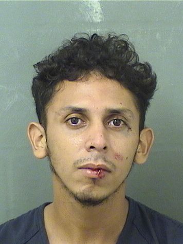  BRYAN LOPEZFUNEZ Results from Palm Beach County Florida for  BRYAN LOPEZFUNEZ