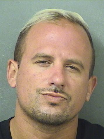  MICHAEL LEONARD CLEMENTE Results from Palm Beach County Florida for  MICHAEL LEONARD CLEMENTE