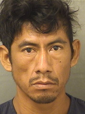  SAMUEL HERNANDEZHERNANDEZ Results from Palm Beach County Florida for  SAMUEL HERNANDEZHERNANDEZ