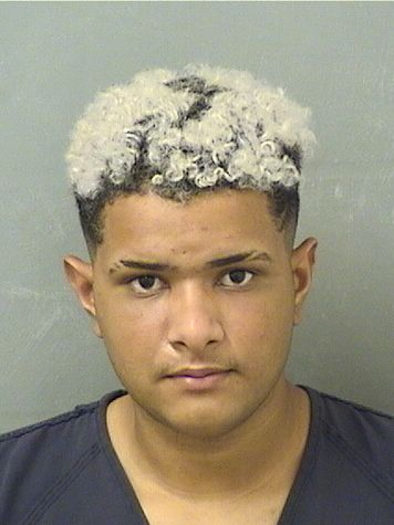  THIAGO A MAGALHAES Resultados de la busqueda para Palm Beach County Florida para  THIAGO A MAGALHAES