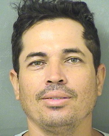  DELVIS JOSE RAMIREZ Results from Palm Beach County Florida for  DELVIS JOSE RAMIREZ
