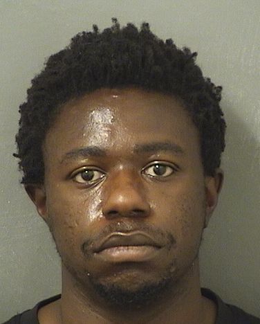  STEPHON R GROSE Results from Palm Beach County Florida for  STEPHON R GROSE