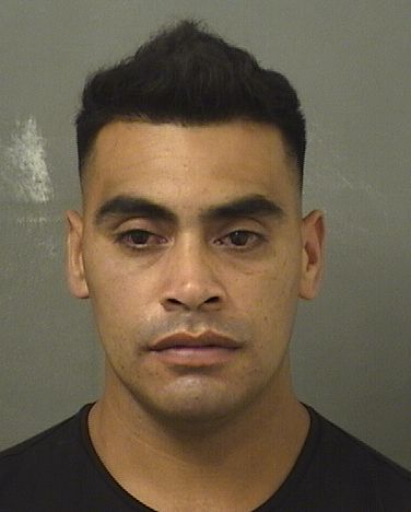  DIEGO JAVIER PONCE Results from Palm Beach County Florida for  DIEGO JAVIER PONCE