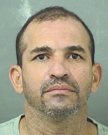  LUIS DANIEL MARTINEZVELEZ Resultados de la busqueda para Palm Beach County Florida para  LUIS DANIEL MARTINEZVELEZ