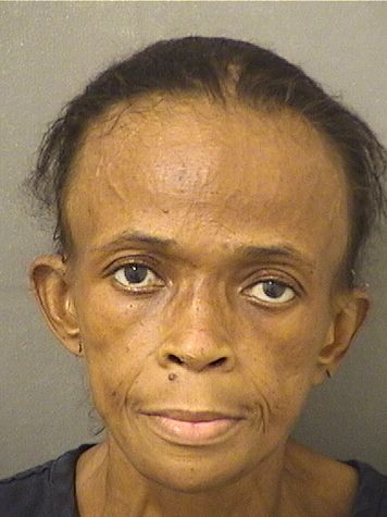  ROSYE ARTAVIOUR DIXON Results from Palm Beach County Florida for  ROSYE ARTAVIOUR DIXON