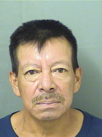  DOMINGO PEDRO JOSE Resultados de la busqueda para Palm Beach County Florida para  DOMINGO PEDRO JOSE