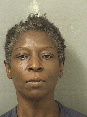  CYNTHIA DENISE YOUNG Results from Palm Beach County Florida for  CYNTHIA DENISE YOUNG