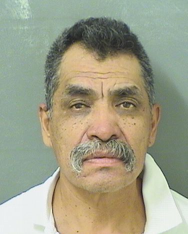  ROSENSO VIRVETE Results from Palm Beach County Florida for  ROSENSO VIRVETE