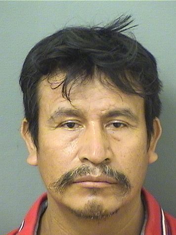  SOFONIAS DIAZSOTO Results from Palm Beach County Florida for  SOFONIAS DIAZSOTO