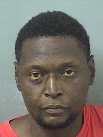  BRANDON LAKEITH RAHMING Results from Palm Beach County Florida for  BRANDON LAKEITH RAHMING