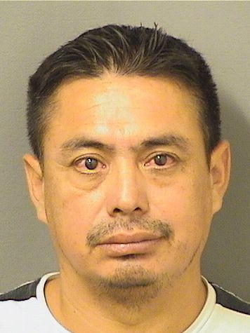  SANTOS BERNALDINO CAMPOSECOROS Resultados de la busqueda para Palm Beach County Florida para  SANTOS BERNALDINO CAMPOSECOROS