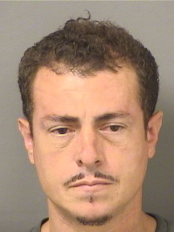  NOEL RIVERA CARRASQUILLO Results from Palm Beach County Florida for  NOEL RIVERA CARRASQUILLO