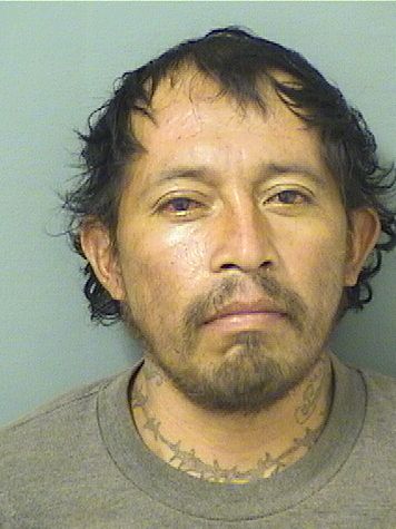  RAMIREZ JUAN PEREZ Resultados de la busqueda para Palm Beach County Florida para  RAMIREZ JUAN PEREZ