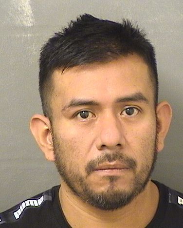  REFUGIO HERNANDEZ LUCAS Resultados de la busqueda para Palm Beach County Florida para  REFUGIO HERNANDEZ LUCAS