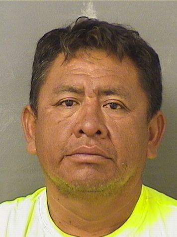LUIS ALBERTO GILBERTO Results from Palm Beach County Florida for LUIS ALBERTO GILBERTO LUIS ALBERTO GILBERTO Results from Palm Beach County Florida for LUIS ALBERTO GILBERTO
