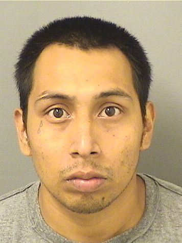  PETER PEDROMENDEZ Photo