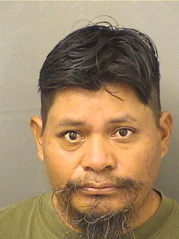 DOMINGO M ANDRES Photos For  DOMINGO M ANDRES  DOMINGO M ANDRES Photo For  DOMINGO M ANDRES