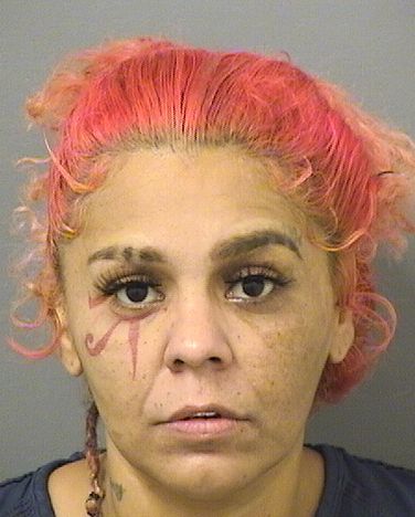  MARIA CHRISTINA SANTIAGO Results from Palm Beach County Florida for  MARIA CHRISTINA SANTIAGO