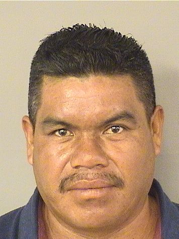  DANIEL MORALESHERNANDEZ Results from Palm Beach County Florida for  DANIEL MORALESHERNANDEZ