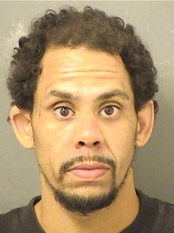  MICHAEL A VALDEZ Results from Palm Beach County Florida for  MICHAEL A VALDEZ