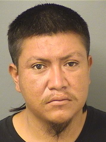  GERSON G RAMIREZ Resultados de la busqueda para Palm Beach County Florida para  GERSON G RAMIREZ