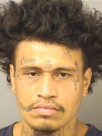  JOSE ANTONIO J MEJIAS Results from Palm Beach County Florida for  JOSE ANTONIO J MEJIAS