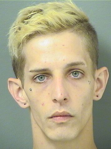  JOHN DAKOTA RYAN Results from Palm Beach County Florida for  JOHN DAKOTA RYAN