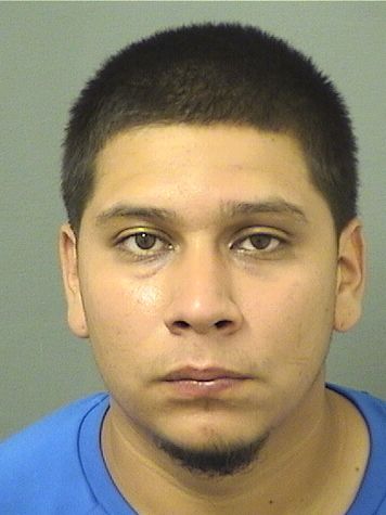  JORGE ALBERTO ACOSTA Results from Palm Beach County Florida for  JORGE ALBERTO ACOSTA