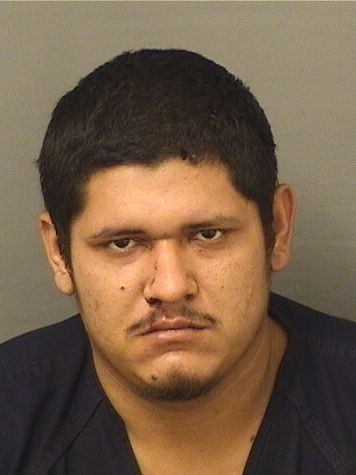  JONATHAN ACUNA Results from Palm Beach County Florida for  JONATHAN ACUNA