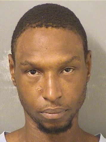  TIMOTHY LEE WILLIAMS Results from Palm Beach County Florida for  TIMOTHY LEE WILLIAMS