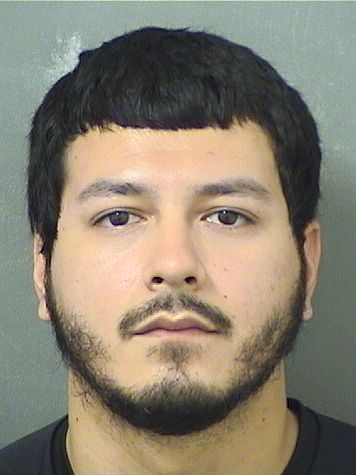  DANIEL HERNANDEZ Results from Palm Beach County Florida for  DANIEL HERNANDEZ