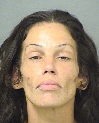  ZAYDY BLANCOVALDEZ Results from Palm Beach County Florida for  ZAYDY BLANCOVALDEZ