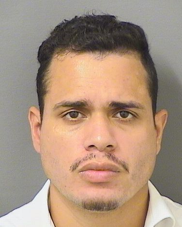  ABRAHAM FAGOT MEJIA Results from Palm Beach County Florida for  ABRAHAM FAGOT MEJIA