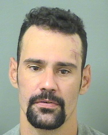  KLAUS HEISENN GOMES Results from Palm Beach County Florida for  KLAUS HEISENN GOMES