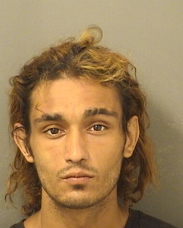  CRISTINO JOHN MADIGAN Results from Palm Beach County Florida for  CRISTINO JOHN MADIGAN