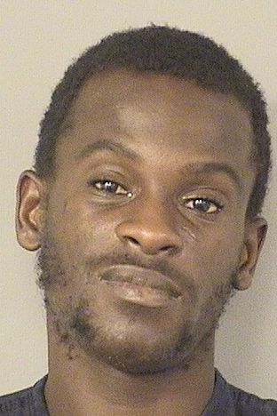  MICHAEL MITCHELL DAVIS Results from Palm Beach County Florida for  MICHAEL MITCHELL DAVIS