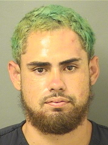  LORENZO RICARDO BERRERA Results from Palm Beach County Florida for  LORENZO RICARDO BERRERA