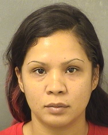  MICHELLE PANA Results from Palm Beach County Florida for  MICHELLE PANA