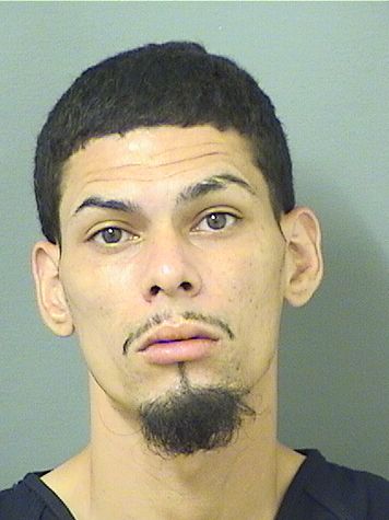  JOSE JAVIER RIVERADIAZ Results from Palm Beach County Florida for  JOSE JAVIER RIVERADIAZ