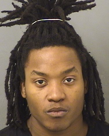  PETER LEE JEAN Results from Palm Beach County Florida for  PETER LEE JEAN