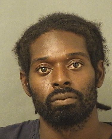  WESLEY LIONEL DAVIDSON Results from Palm Beach County Florida for  WESLEY LIONEL DAVIDSON