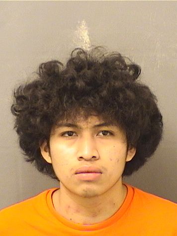  LUIS MARCOS Results from Palm Beach County Florida for  LUIS MARCOS