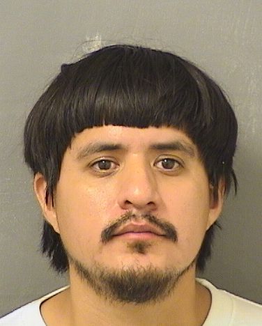  ALAN RUIZ Photo For  ALAN RUIZ