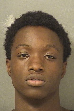  KENNETH JAMAL HOLLIS Results from Palm Beach County Florida for  KENNETH JAMAL HOLLIS