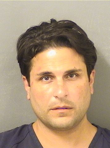  JUSTIN LOUIS POTENZA Results from Palm Beach County Florida for  JUSTIN LOUIS POTENZA