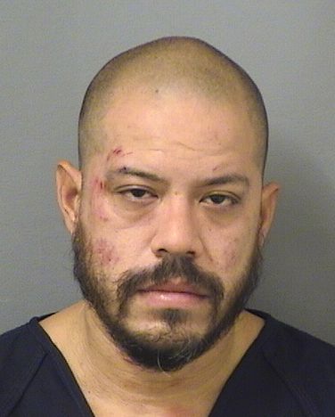 ANTHONY VIDIRI Results from Palm Beach County Florida for ANTHONY VIDIRI ANTHONY VIDIRI Results from Palm Beach County Florida for ANTHONY VIDIRI