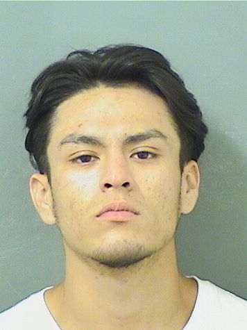  RICARDO A BURGARACALDERON Results from Palm Beach County Florida for  RICARDO A BURGARACALDERON