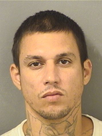  ELMER RIVERA ROMAN Results from Palm Beach County Florida for  ELMER RIVERA ROMAN