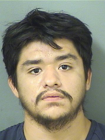  JESUS HENRY SORIA Results from Palm Beach County Florida for  JESUS HENRY SORIA